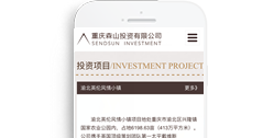 重慶森山投資有限公司【手機網】