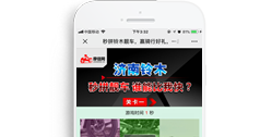摩信網【微信應用程序】