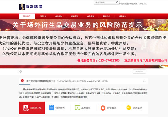 重慶鼎富瑞澤風險管理有限公司